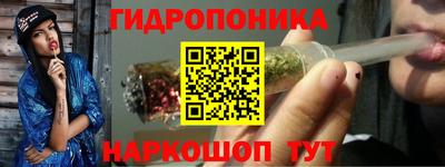 крисы Усть-Илимск