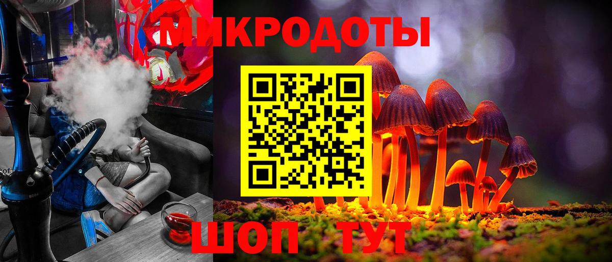 Псилоцибиновые грибы Psilocybe Борзя