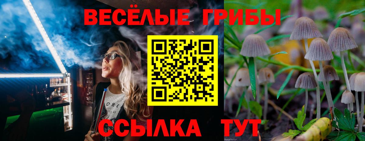 Псилоцибиновые грибы MAGIC MUSHROOMS  Вход с VPN  Борзя 